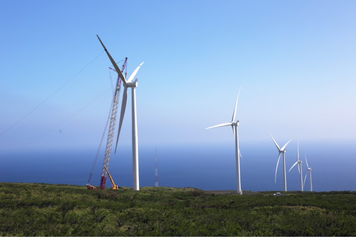 wind turbines in field with blue sky