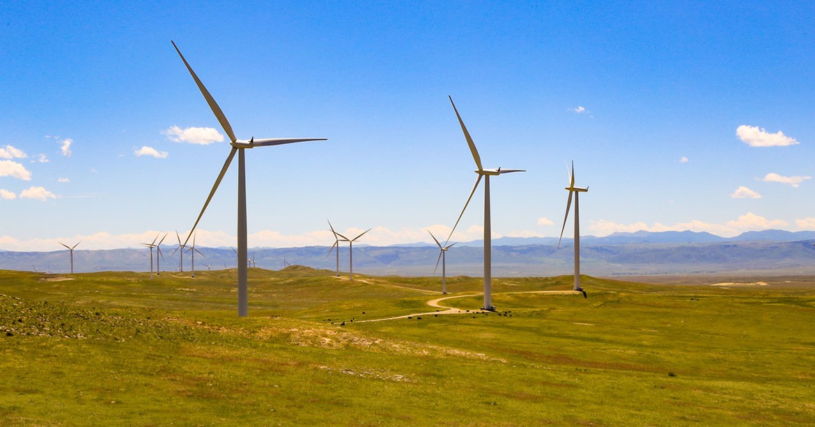 Many wind turbines in a field