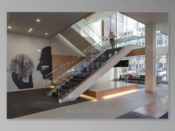 American Academy of Neurology staircase