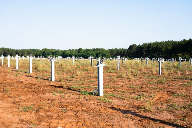 Solar posts in field