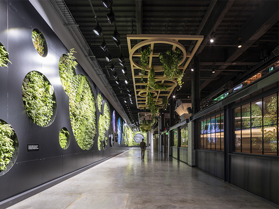Climate Pledge Arena living wall