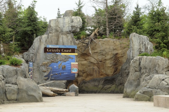 Minnesota Zoo Grizzly Exhibit