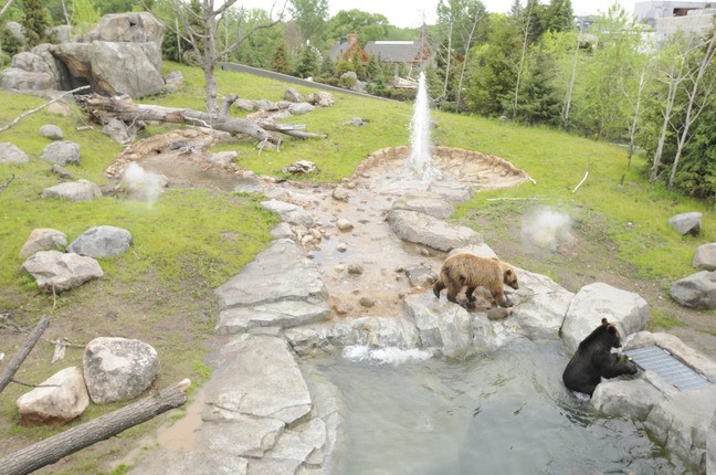 Minnesota Zoo Grizzly Exhibit with water feature