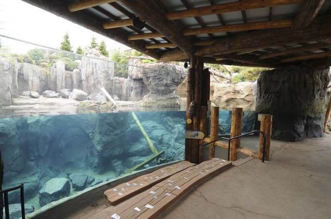 Minnesota Zoo Grizzly Exhibit with water viewing area