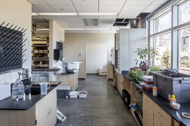 lab area with windows 