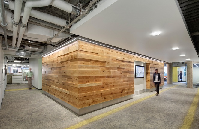 cedar wall and concrete floors in office building