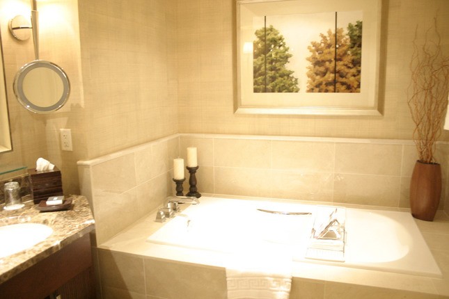 Ritz Carlton Hotel Downtown bathroom with tub